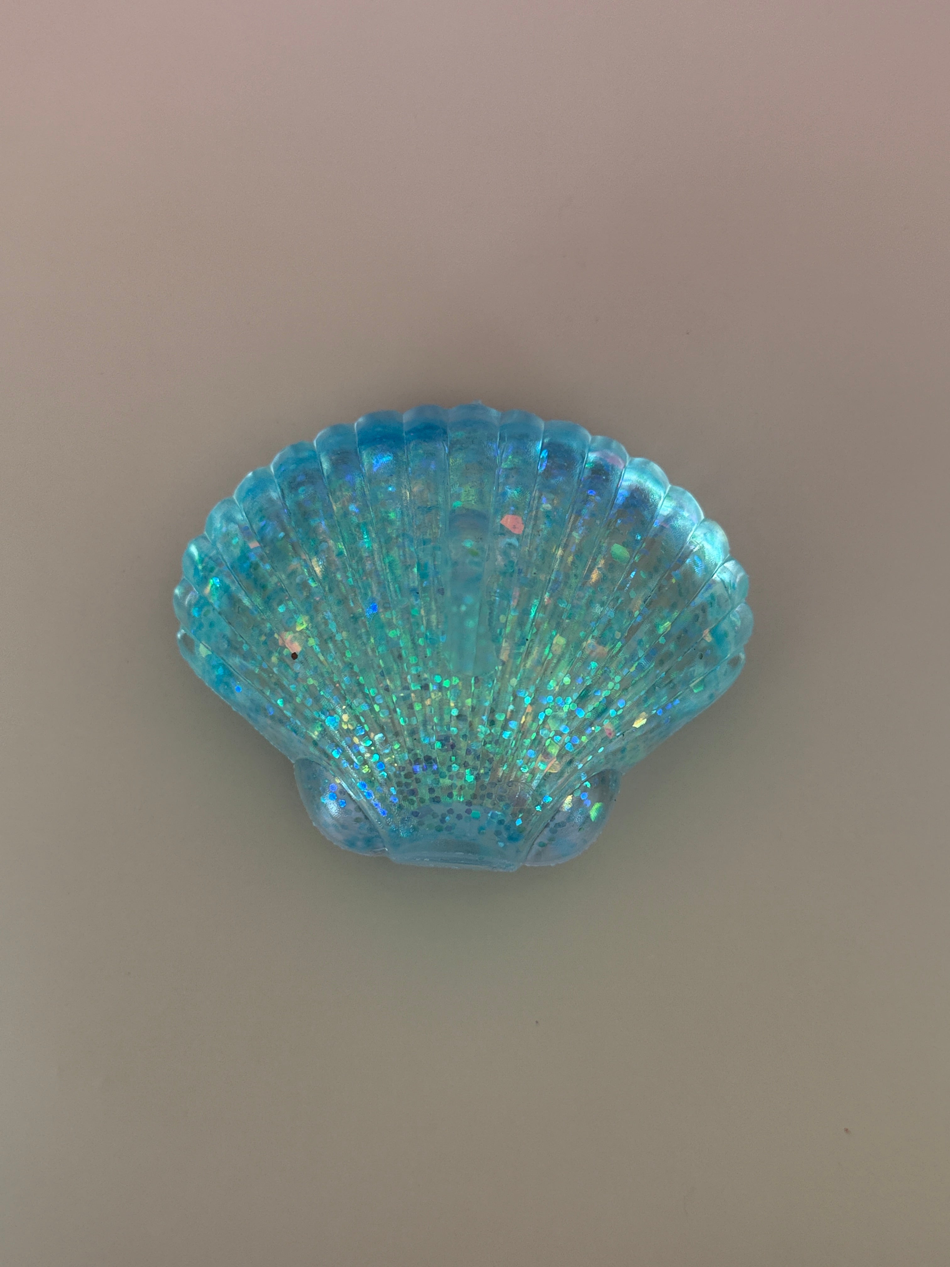 Colorful Shell Squishy